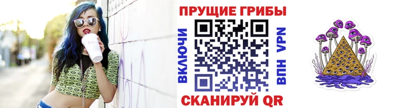где купить наркотик  Западная Двина  Псилоцибиновые грибы мухоморы 