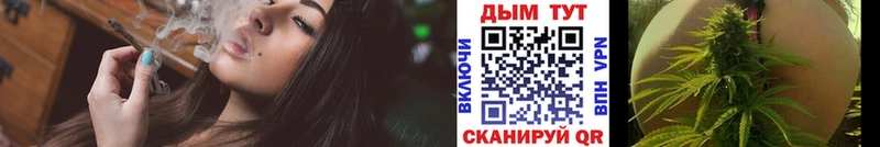 мега зеркало  Западная Двина  Шишки марихуана конопля  наркотики 